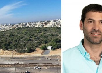 צדרבוים צילום: מור שקיפי לאטי