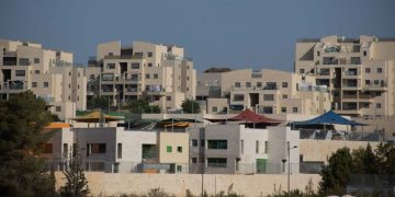 חריש מבט כללי. צילום: יונית צדוק