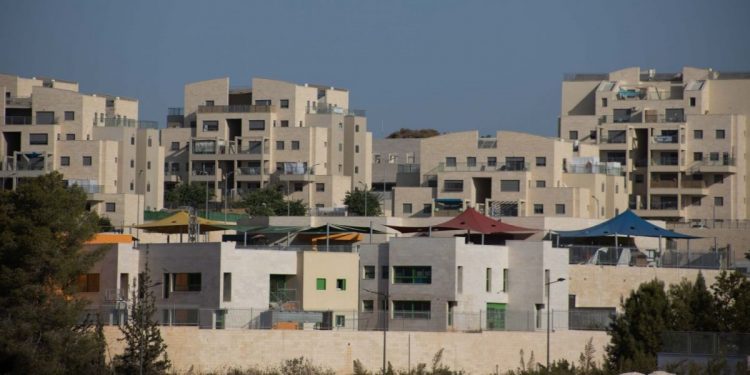 חריש מבט כללי. צילום: יונית צדוק