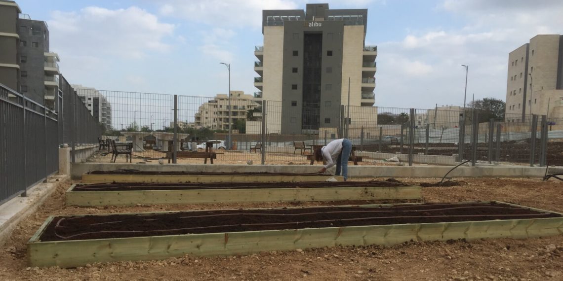 גינה חדשה מחפשת קהילה