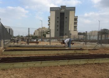 גינה חדשה מחפשת קהילה