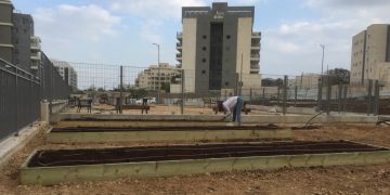 גינה חדשה מחפשת קהילה