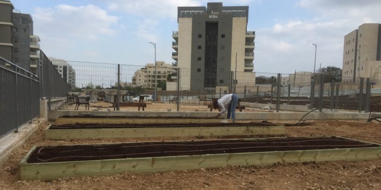 גינה חדשה מחפשת קהילה