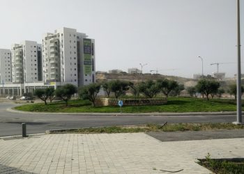 כיכר הזיתים