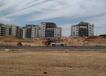 שכונת הפרחים