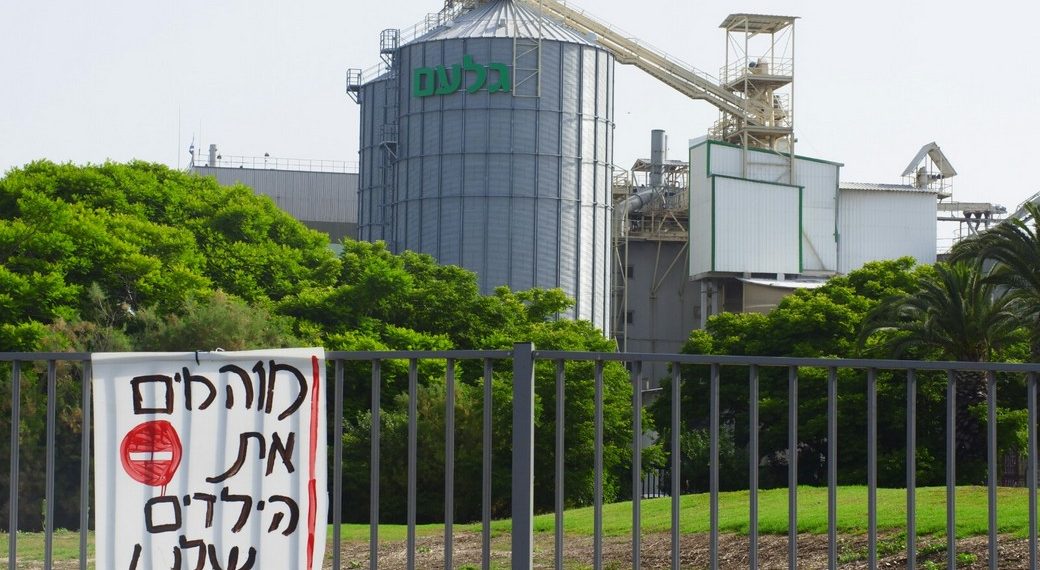 מפעל גלעם במענית