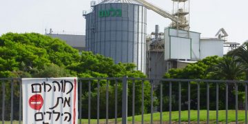 מפעל גלעם במענית