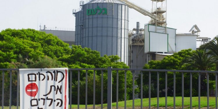 מפעל גלעם במענית