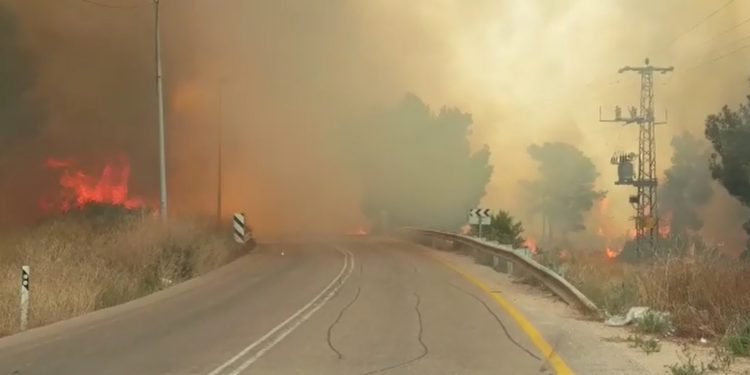 שריפה בקציר