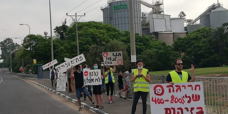 הפגנה נגד ורידיס