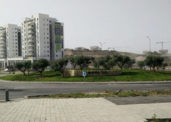 כיכר הזיתים