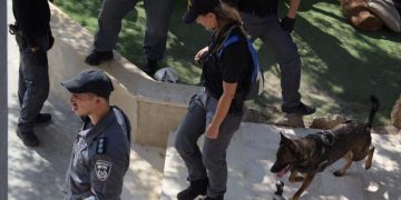 יחידת הכלבנים