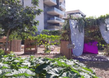 סוכה אקולוגית