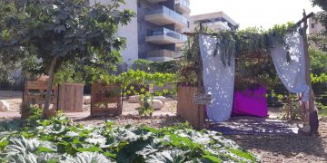 סוכה אקולוגית