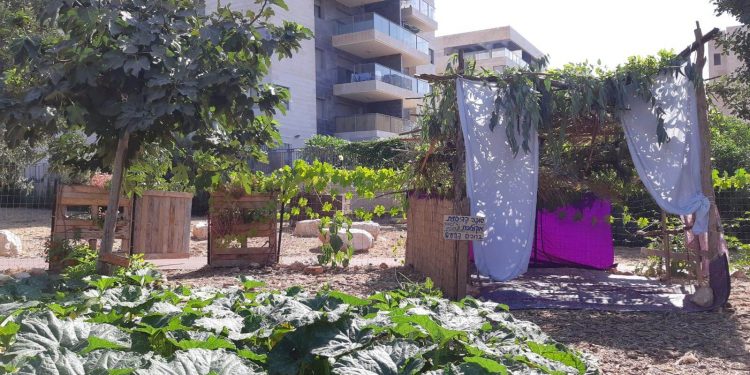 סוכה אקולוגית