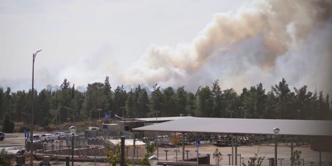 אש ביער חריש