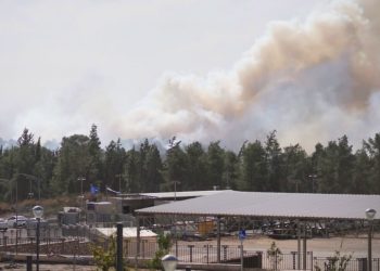 אש ביער חריש