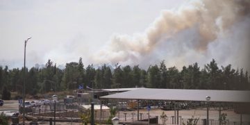 אש ביער חריש