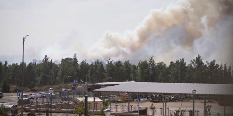 אש ביער חריש