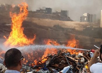 שריפה בפרחים