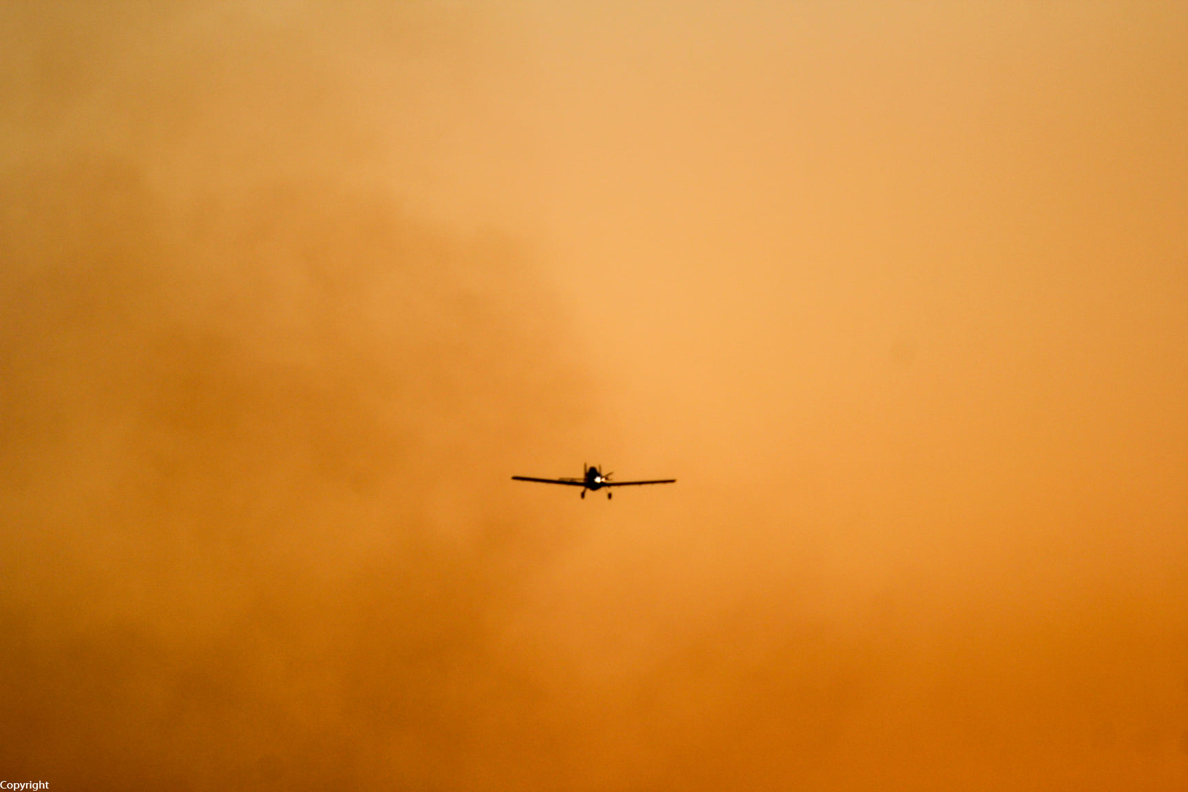 מטוס כיבוי 'אלעד' צילום דנה גת
