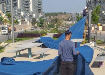 מסירים את הציליות