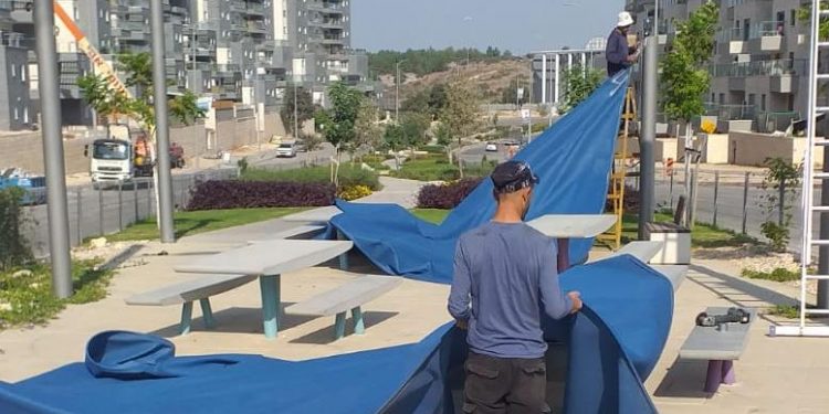 מסירים את הציליות