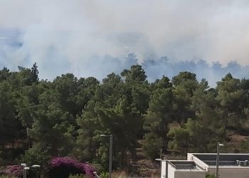 שריפה בחריש שלמה אל השחר