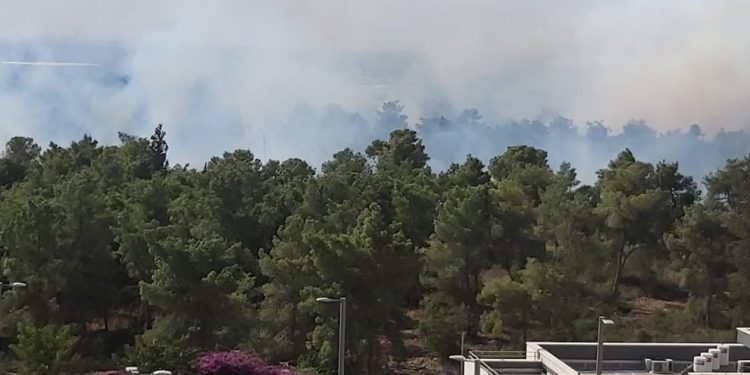 שריפה בחריש שלמה אל השחר