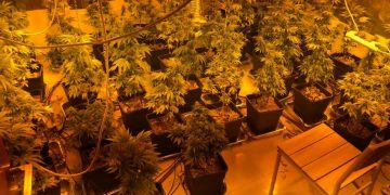 מעבדת סמים נוספת נתפסה הבוקר בחריש