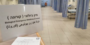 הלל יפה מיון ביולוגי