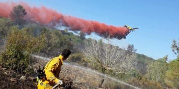 שריפה אליקים דוברות כיבוי והצלה מחוז חוף