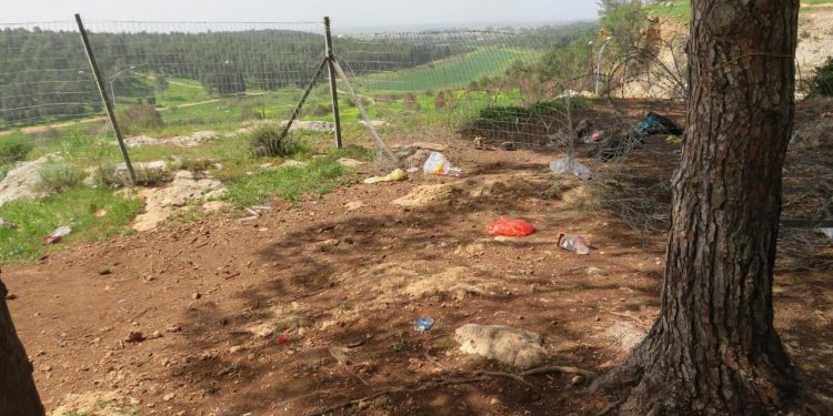 יער חריש: פינת חמד ירוקה אך מלוכלכת