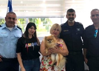 כלב חזר לבעליו