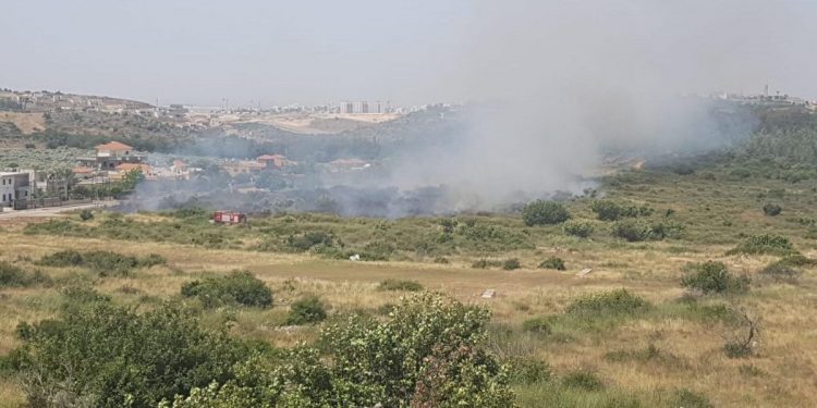 שריפה ברטעה