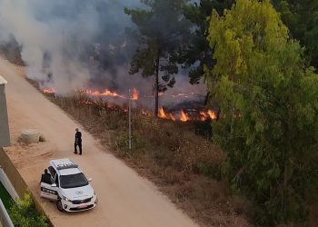 שריפה באזור פארק המנגלים ביער חריש
