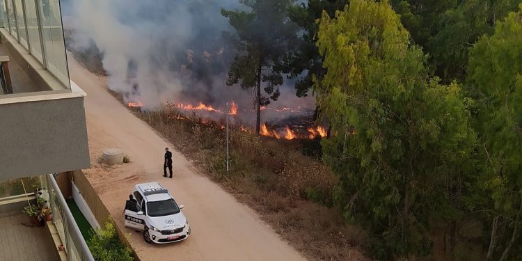 שריפה באזור פארק המנגלים ביער חריש