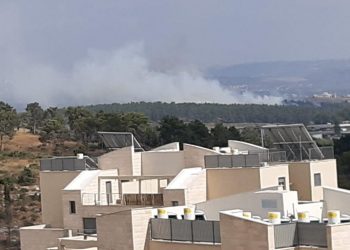 שריפה גדר הפרדה שלמה אל השחר