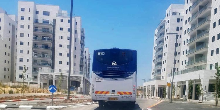 תחבורה ציבורית אוטובוס במעו"ף צילום: דניאל שחר