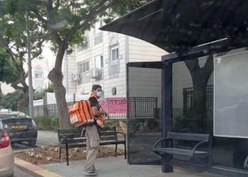 בן 10 טיפס על עץ בשדרת גמלא, נפל ונפצע באורח קל