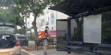 בן 10 טיפס על עץ בשדרת גמלא, נפל ונפצע באורח קל