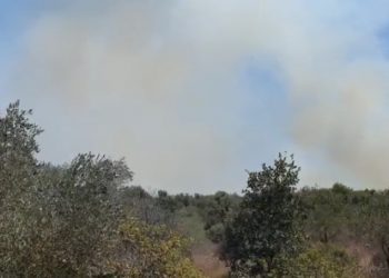 שריפת חורש דרומית לחריש שריפה
