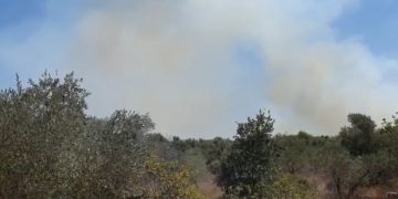 שריפת חורש דרומית לחריש שריפה