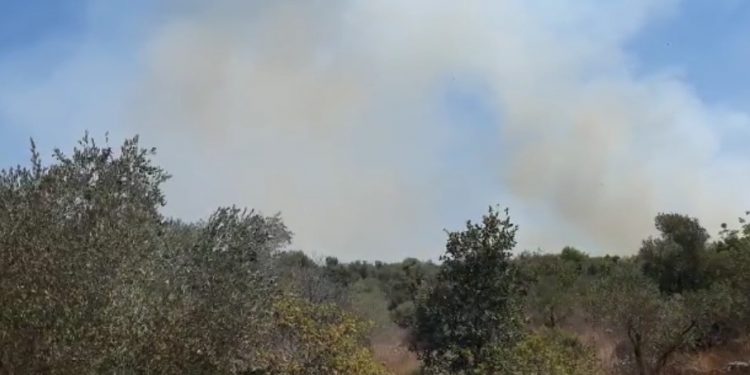 שריפת חורש דרומית לחריש שריפה