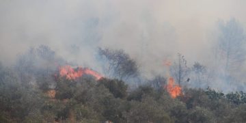 שריפות חורש להבות חביבה