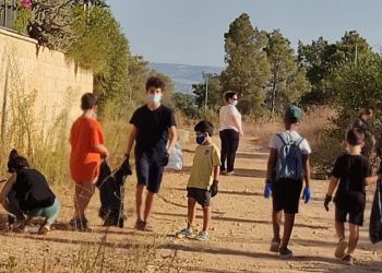 ניקיון ביער