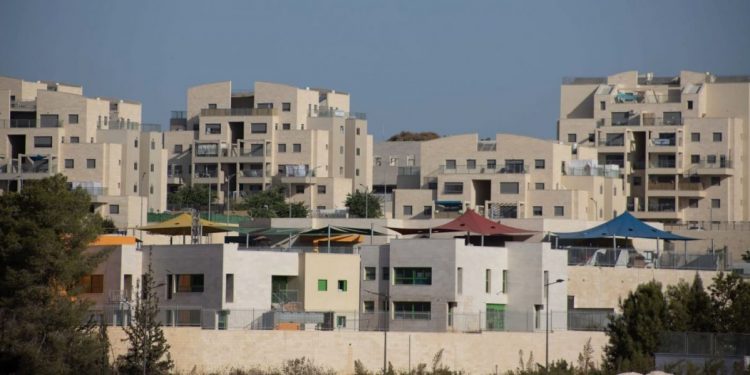 חריש מבט כללי. צילום: יונית צדוק