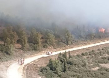 עדכון שריפה: המשטרה מפנה תושבים מאום אל קוטוף