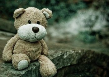 דוב צעצוע ילדים קטינים תקיפה מינית מעשים מגונים