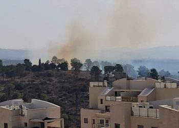 דליקה שריפה ביער חריש; צילום: שלמה אל השחר